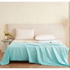 THXSILK All-Season Mulberry Silk Comforter, 100% Natural Long-Strand Silk Queen
